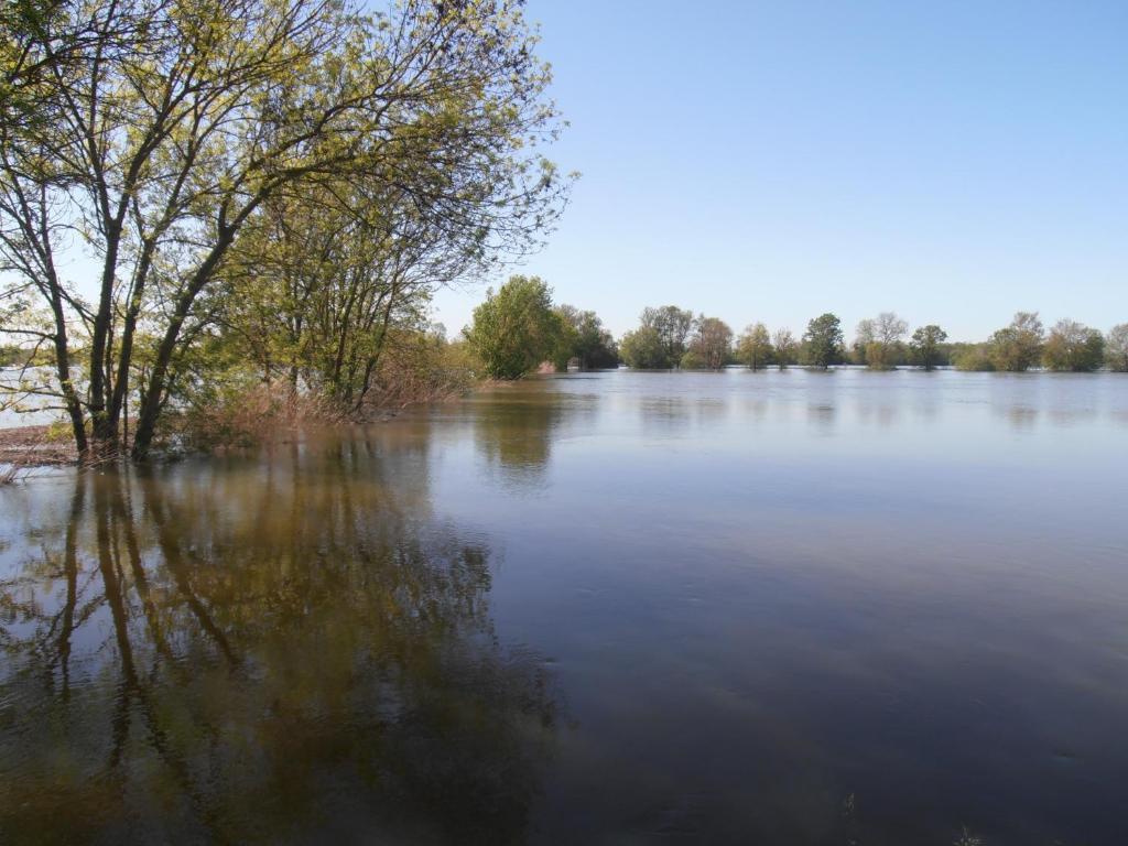 מלון Dompierre-sur-Charente Chateau Sainte Marie מראה חיצוני תמונה